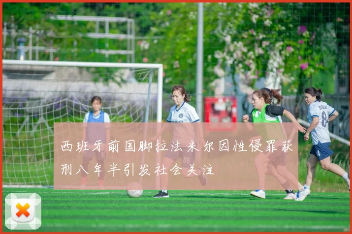 西班牙前国脚拉法米尔因性侵罪获刑八年半引发社会关注