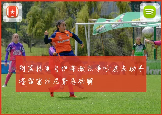 阿莱格里与伊布激烈争吵差点动手塔雷富拉尼紧急劝解