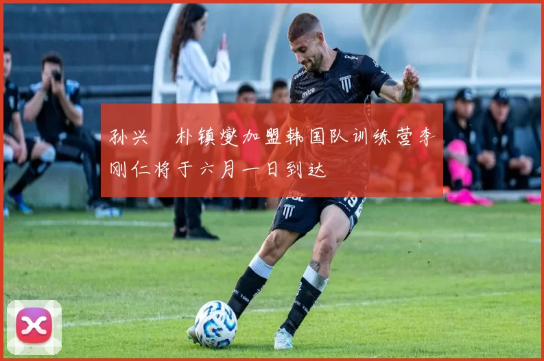 孙兴慜朴镇燮加盟韩国队训练营李刚仁将于六月一日到达